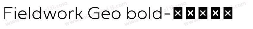 Fieldwork Geo bold字体转换